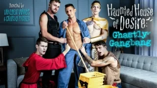 HAUNTED HOUSE OF DESIRE 8211 Sexpack