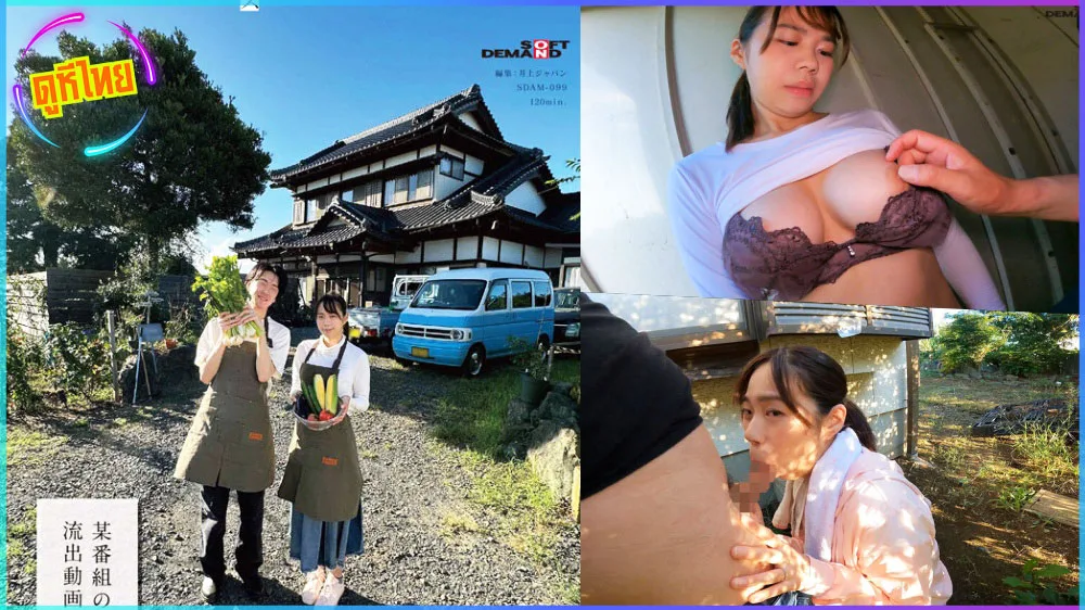 SDAM-099