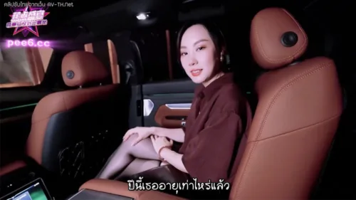 JDSY-300 BunnyMiffy car sex
